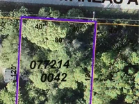 11150 MATANZAS LOTS 35 & 36 AVE — photo 2