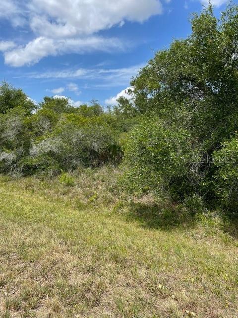 33514, 33522,33528 WASHINGTON LOOP RD, PUNTA GORDA, FL — photo 4