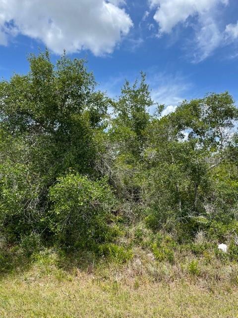 33514, 33522,33528 WASHINGTON LOOP RD, PUNTA GORDA, FL — photo 5