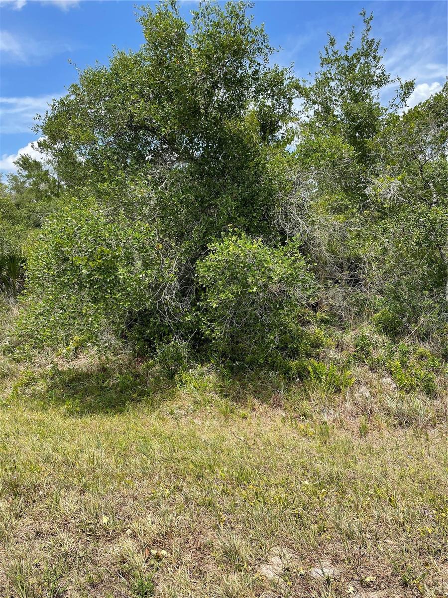 33514, 33522,33528 WASHINGTON LOOP RD, PUNTA GORDA, FL — photo 3