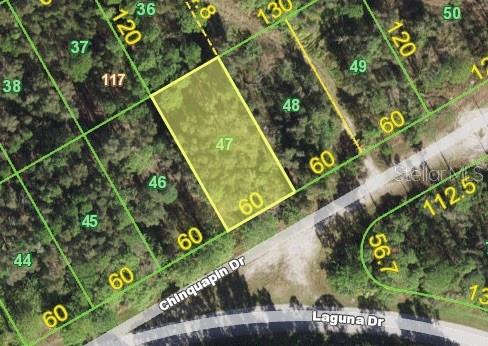 28492 CHINQUAPIN DR, PUNTA GORDA, FL