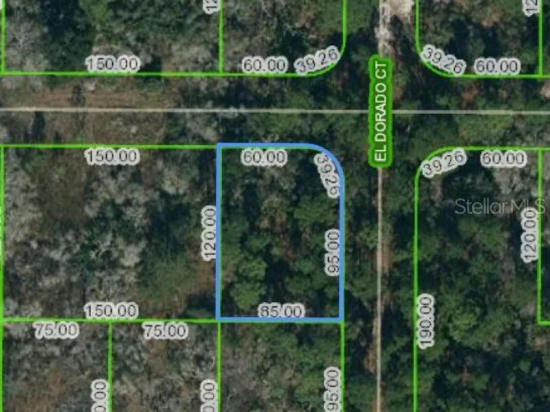 251 TANNERY LN, LAKE PLACID, FL
