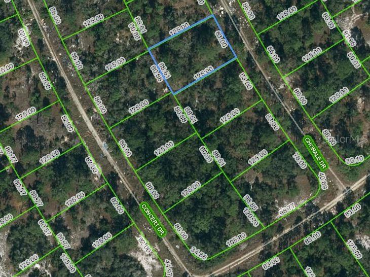 366 CHORALE DR, LAKE PLACID, FL