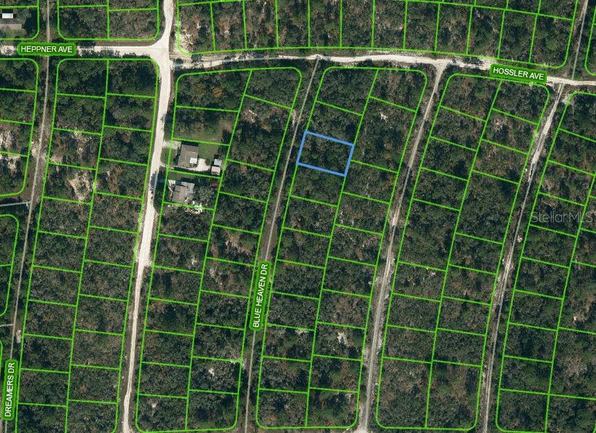 331 BLUE HEAVEN DR, LAKE PLACID, FL