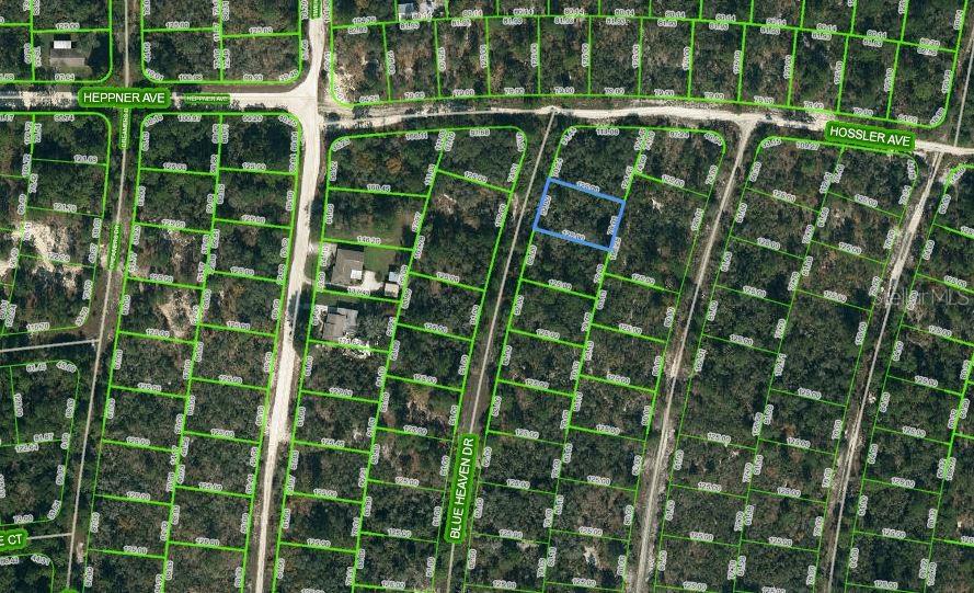 325 BLUE HEAVEN DR, LAKE PLACID, FL