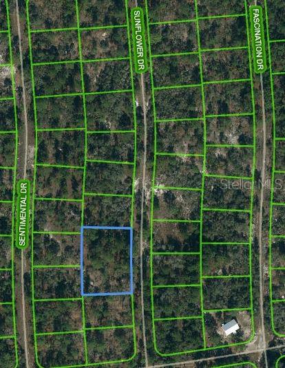 244 SUNFLOWER DR, LAKE PLACID, FL