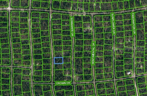249 SUNNYSIDE DR, LAKE PLACID, FL
