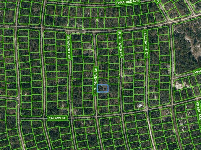 249 SENTIMENTAL DR, LAKE PLACID, FL