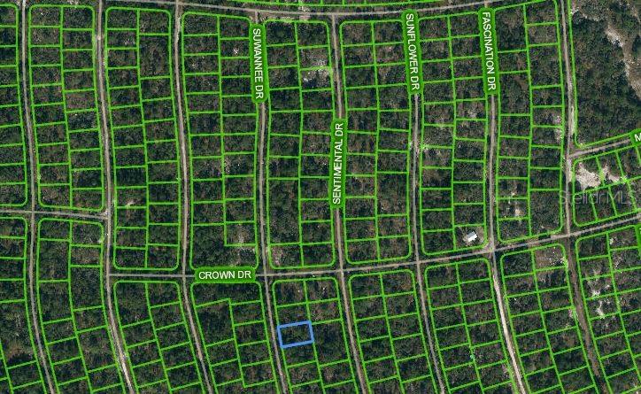 215 SUWANNEE DR, LAKE PLACID, FL
