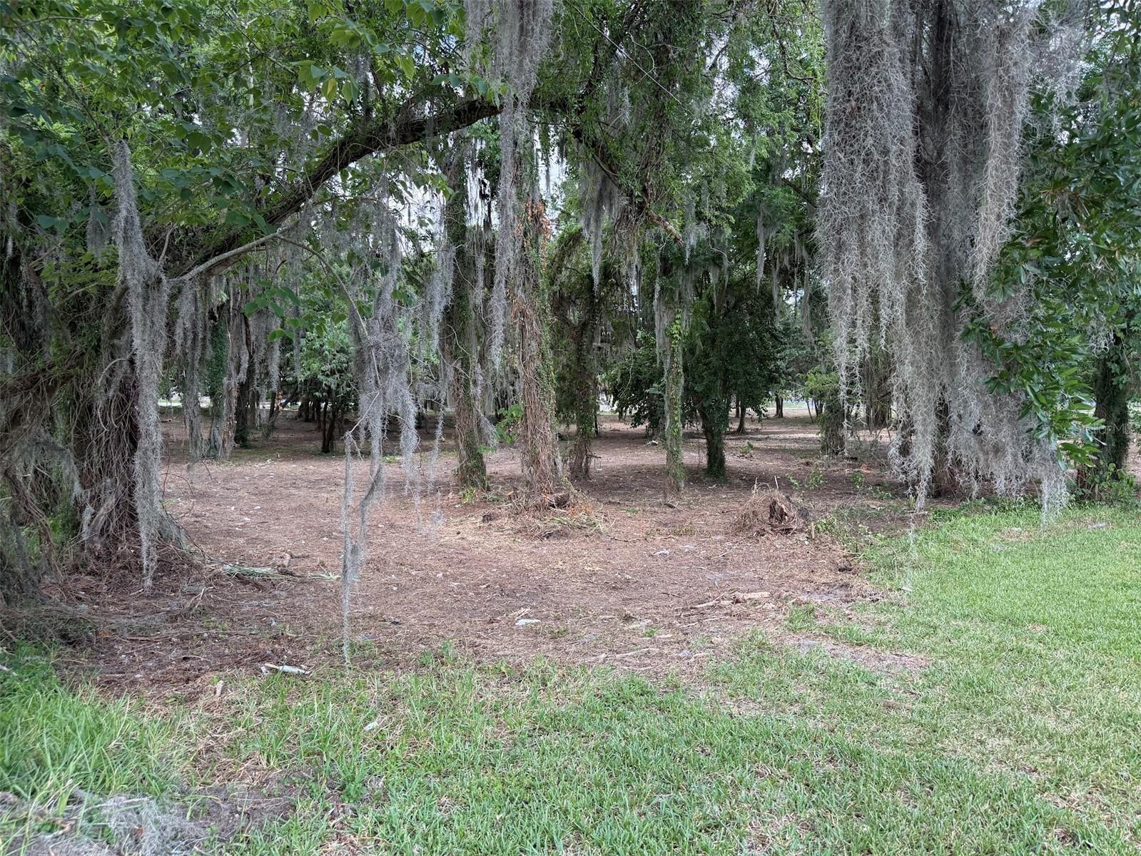 150 SE 17TH ST #2 & 3, OCALA, FL — photo 5