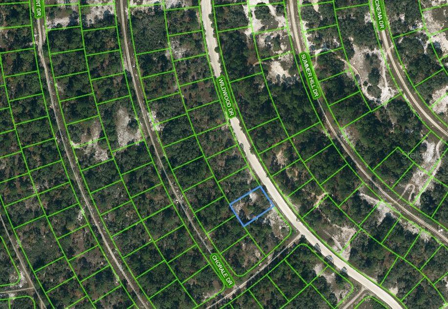 354 WILDWOOD DR, LAKE PLACID, FL