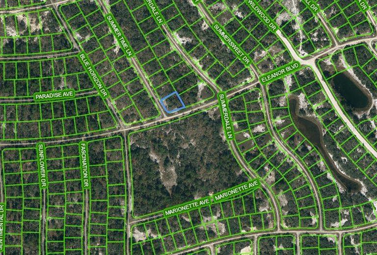 384 ELEANOR BLVD, LAKE PLACID, FL