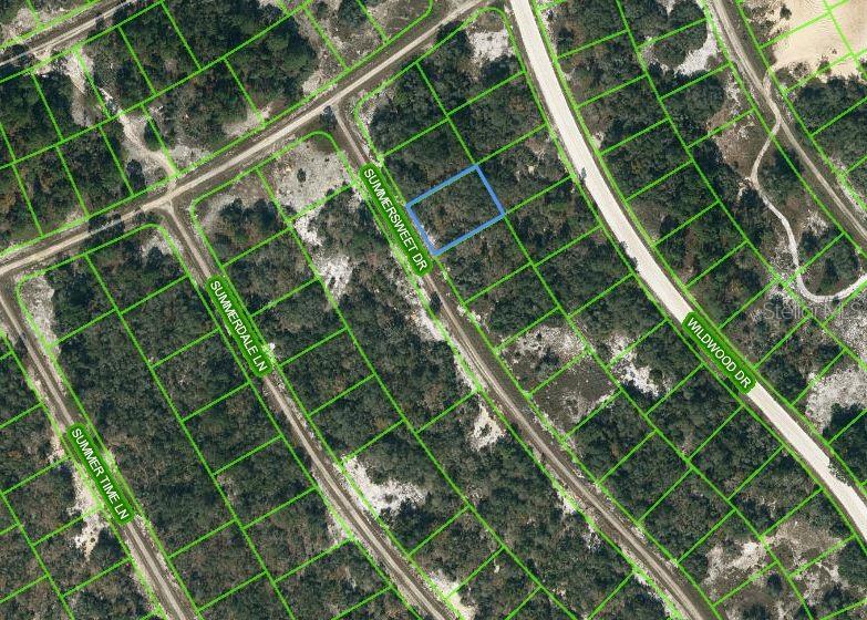 349 SUMMERSWEET DR, LAKE PLACID, FL