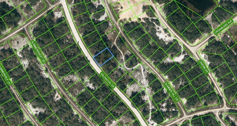 315 WILDWOOD DR, LAKE PLACID, FL