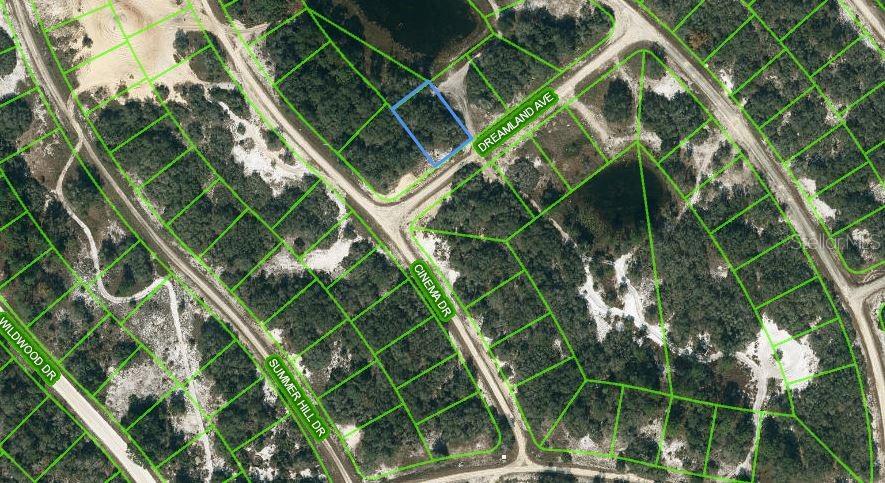 506 DREAMLAND AVE, LAKE PLACID, FL