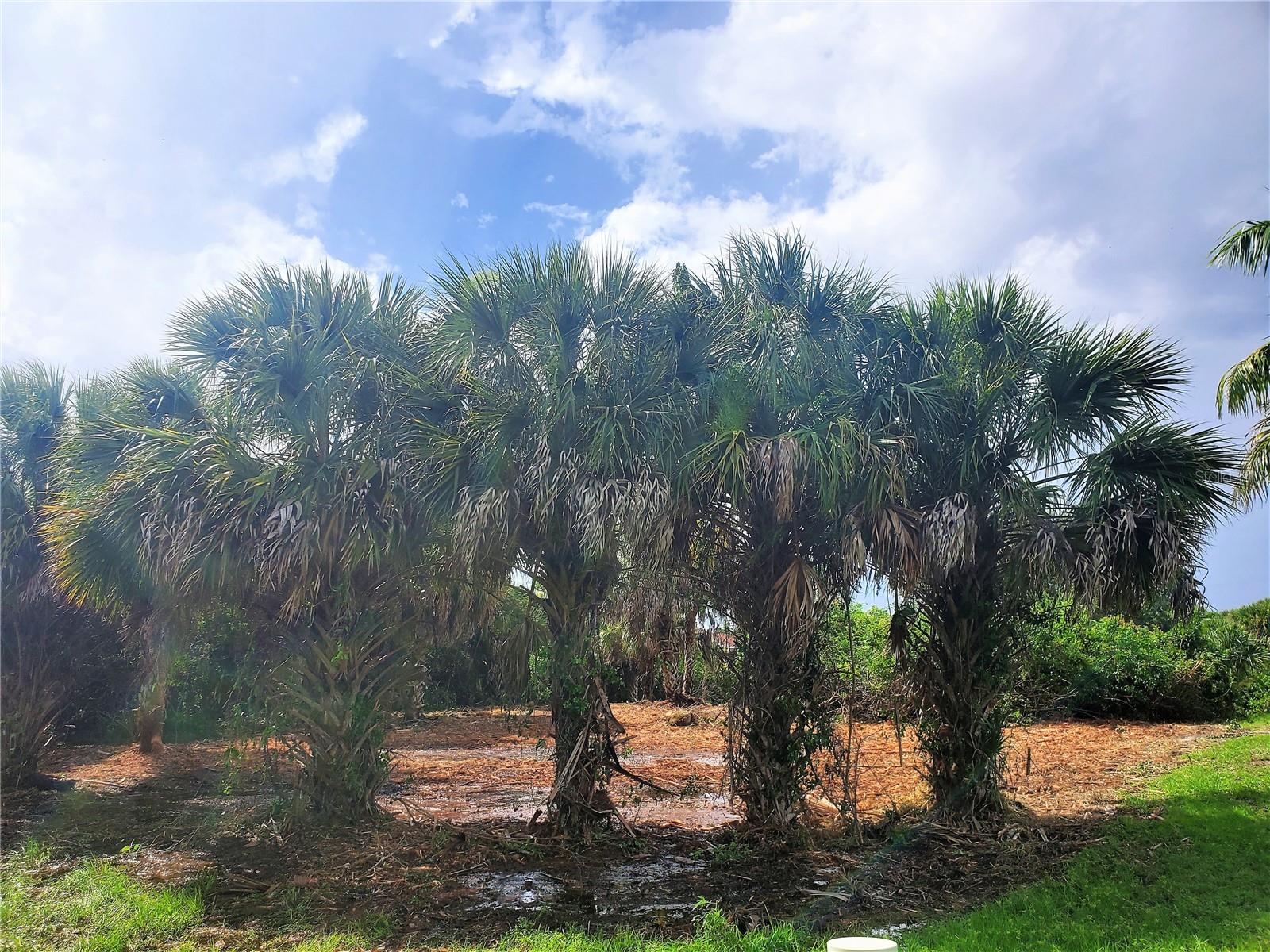 18037 OHARA DR, PORT CHARLOTTE, FL — photo 4