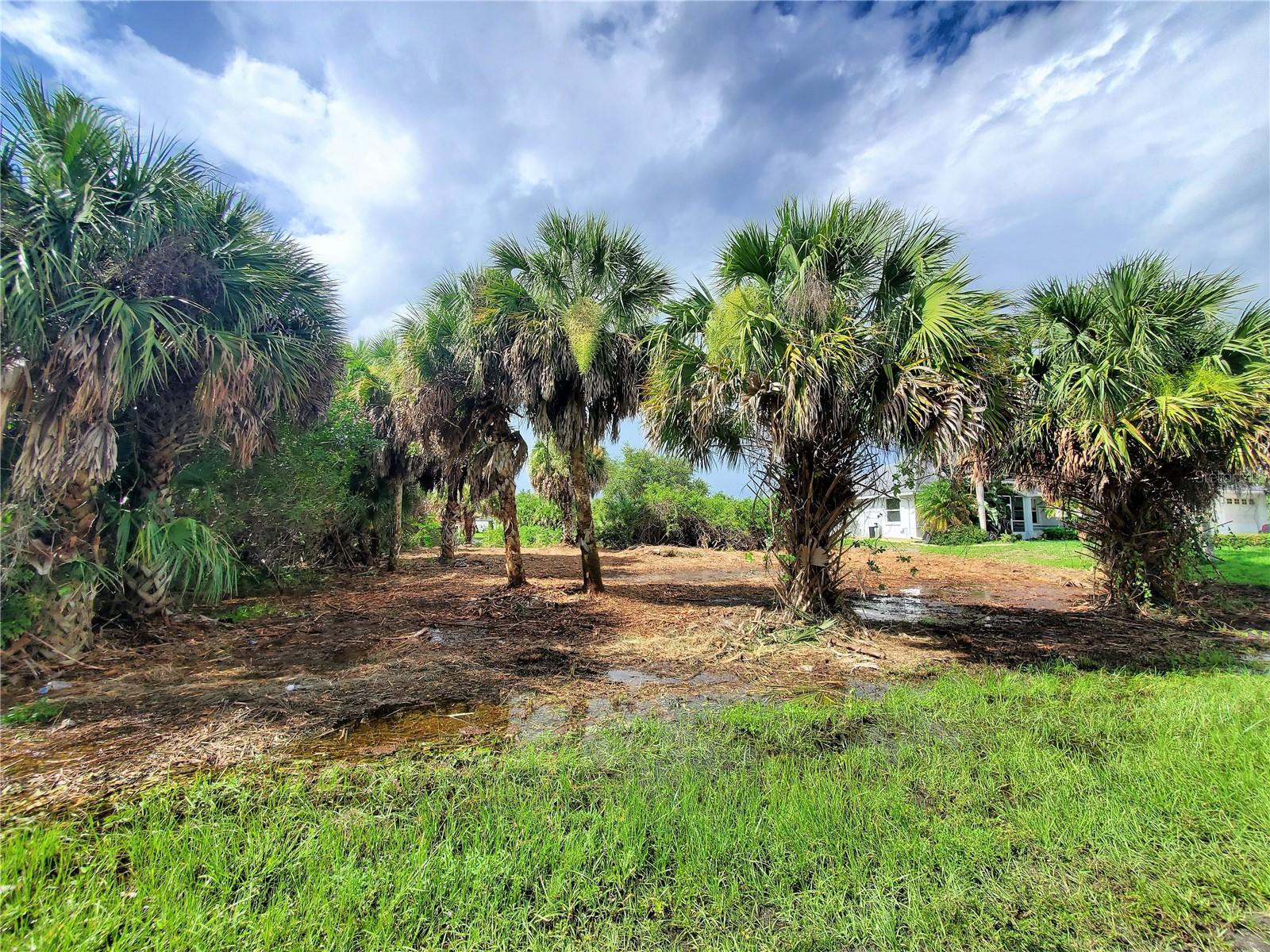 18037 OHARA DR, PORT CHARLOTTE, FL — photo 16