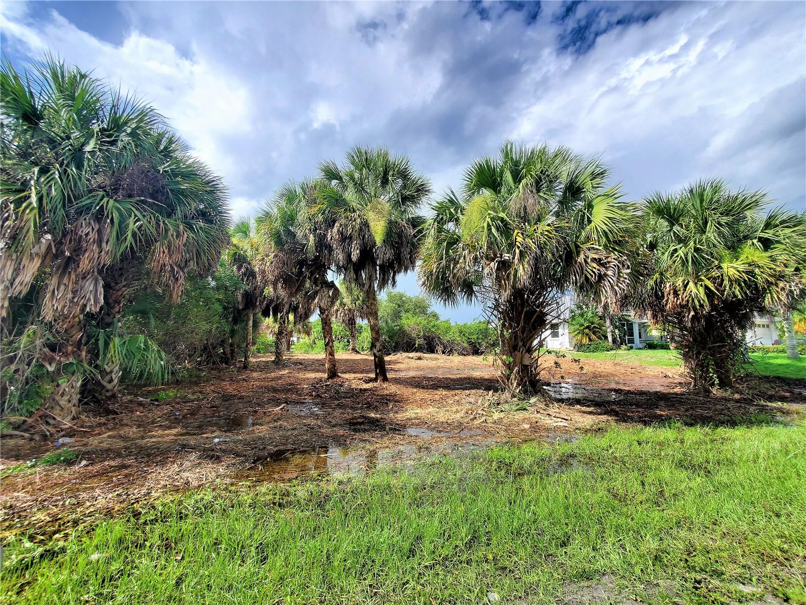18037 OHARA DR, PORT CHARLOTTE, FL — photo 21