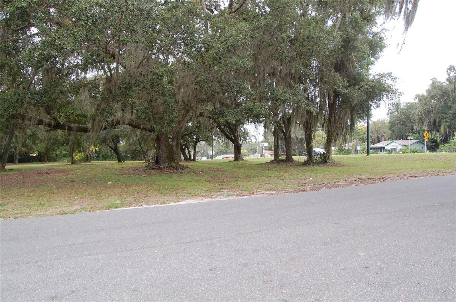 US HWY 441 E NORTH BLVD, LEESBURG, FL — photo 3