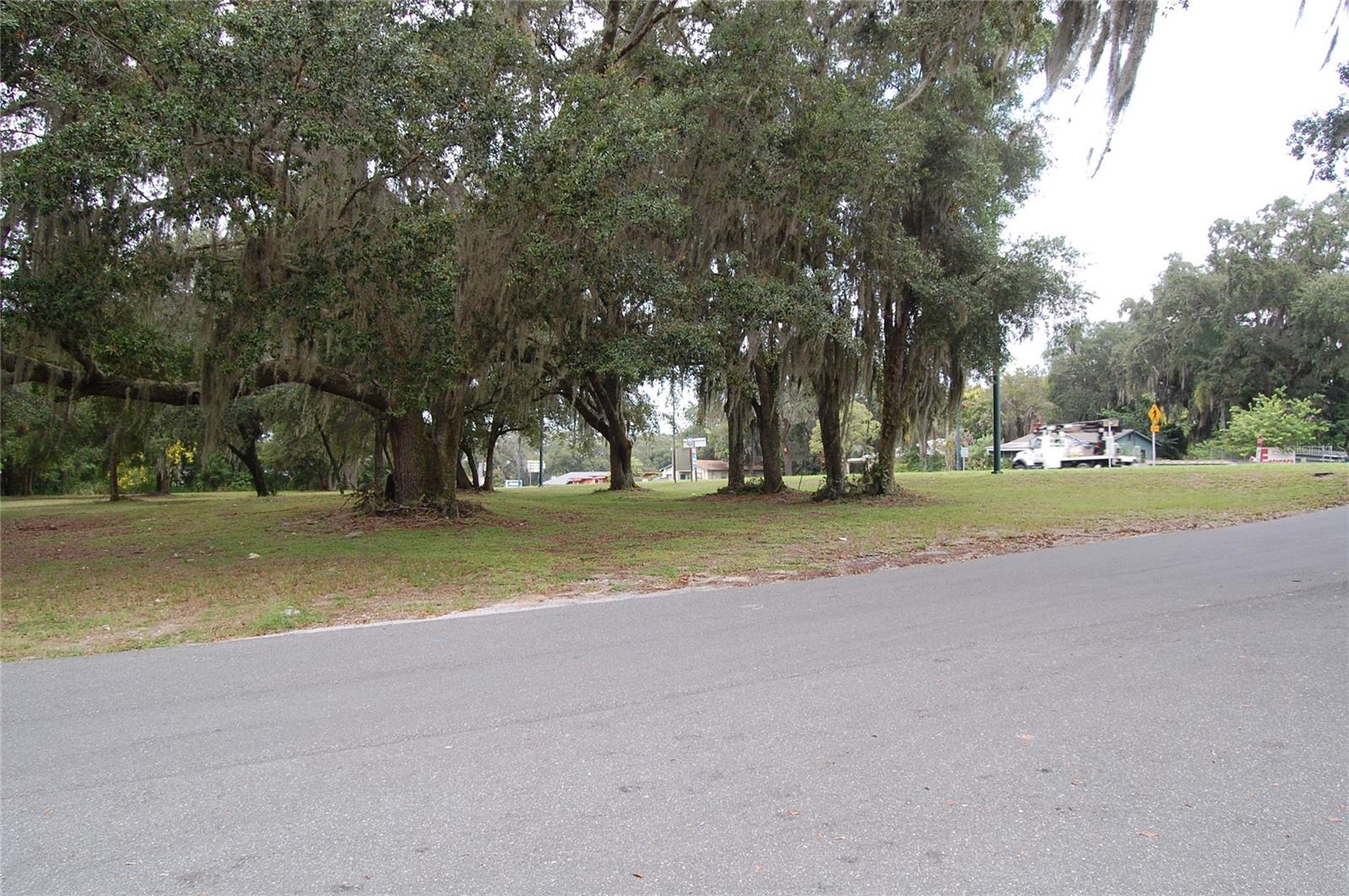 US HWY 441 E NORTH BLVD, LEESBURG, FL — photo 5