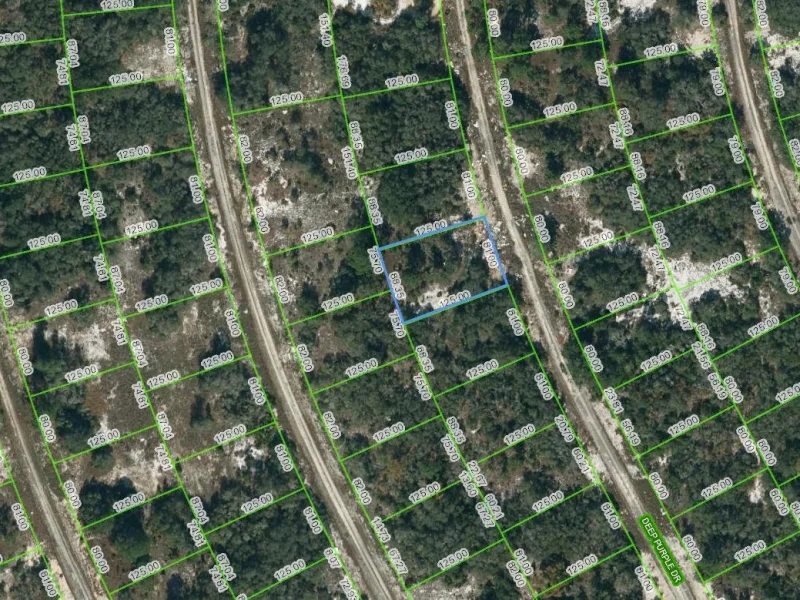 218 DEEP PURPLE DR, LAKE PLACID, FL
