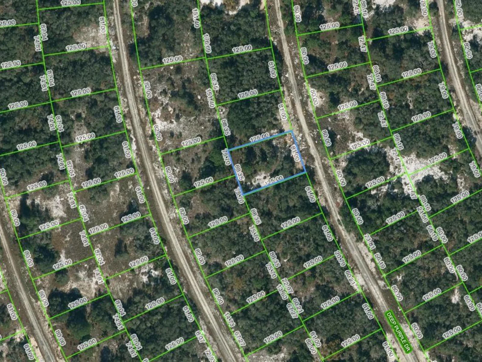 218 DEEP PURPLE DR, LAKE PLACID, FL — photo 1