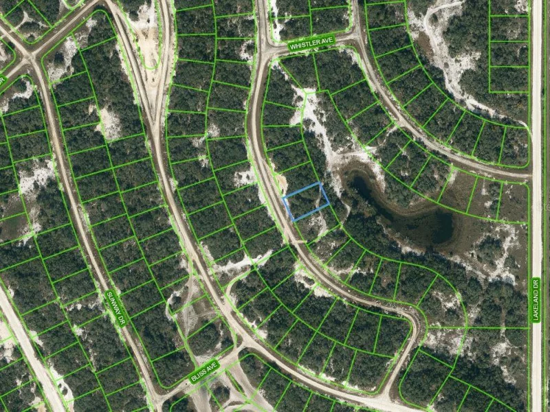 221 DARGEN DR, LAKE PLACID, FL