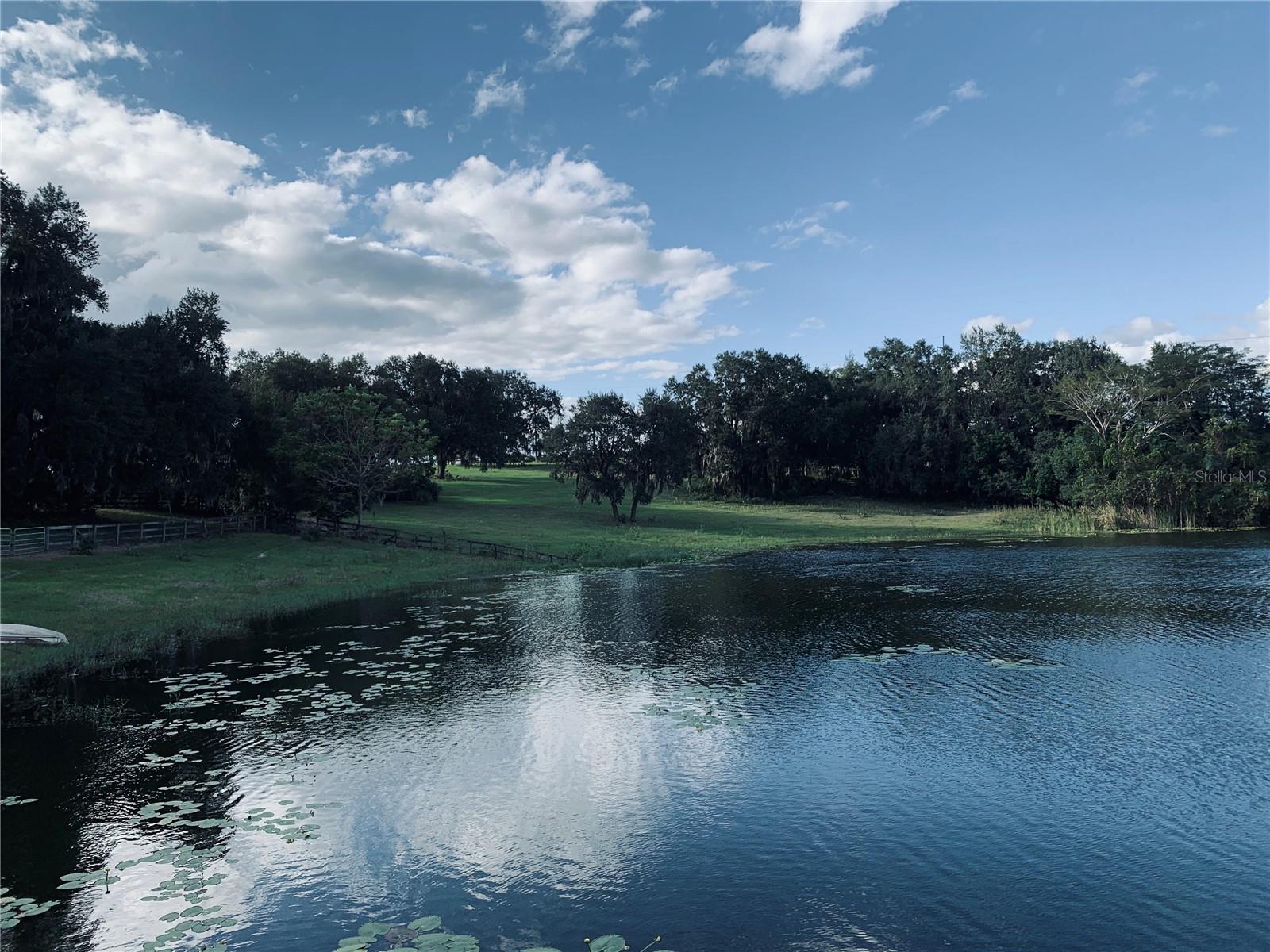 TBD LAKE BURNS RD, UMATILLA, FL — photo 4