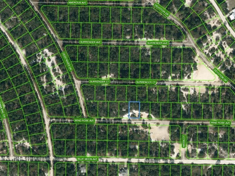 418 WIND ROSE AVE, LAKE PLACID, FL