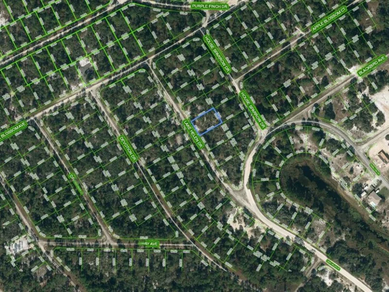 519 LAKE HELEN DR, LAKE PLACID, FL