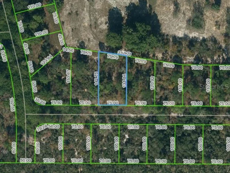 136 CLAVERLAND DR, LAKE PLACID, FL