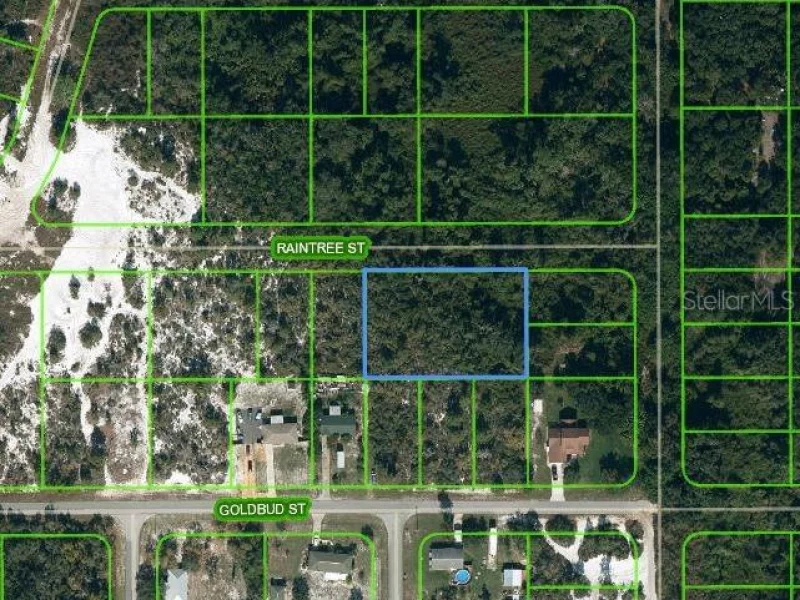 1515 RAINTREE ST, LAKE PLACID, FL