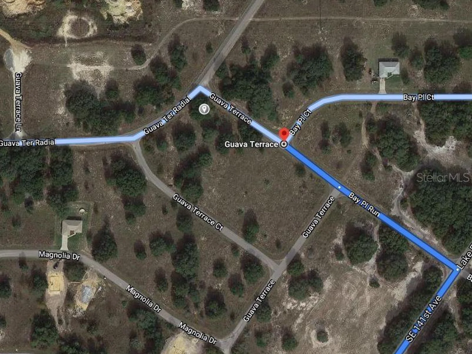 GUAVA TER, OCKLAWAHA, FL — photo 2