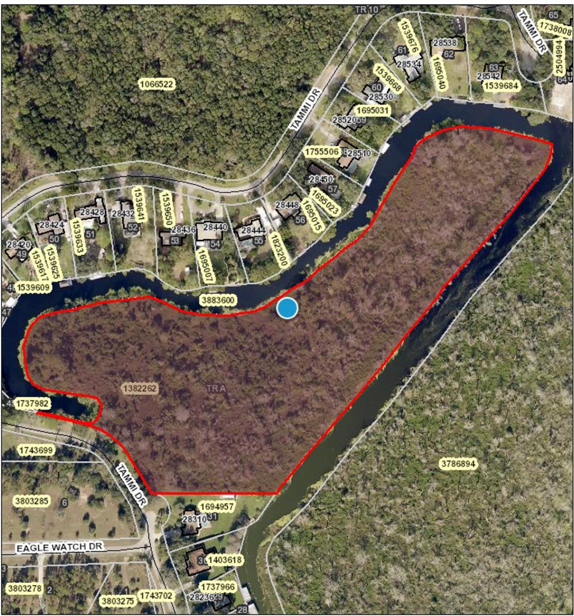 TAMMI DR, TAVARES, FL