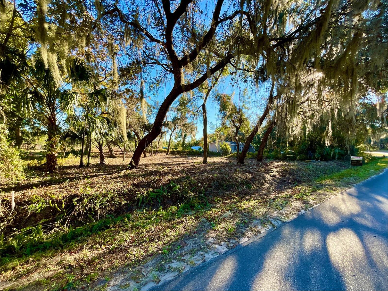 Lot 66 & Lot 67 Ashley ST, Hawthorne, FL — photo 5