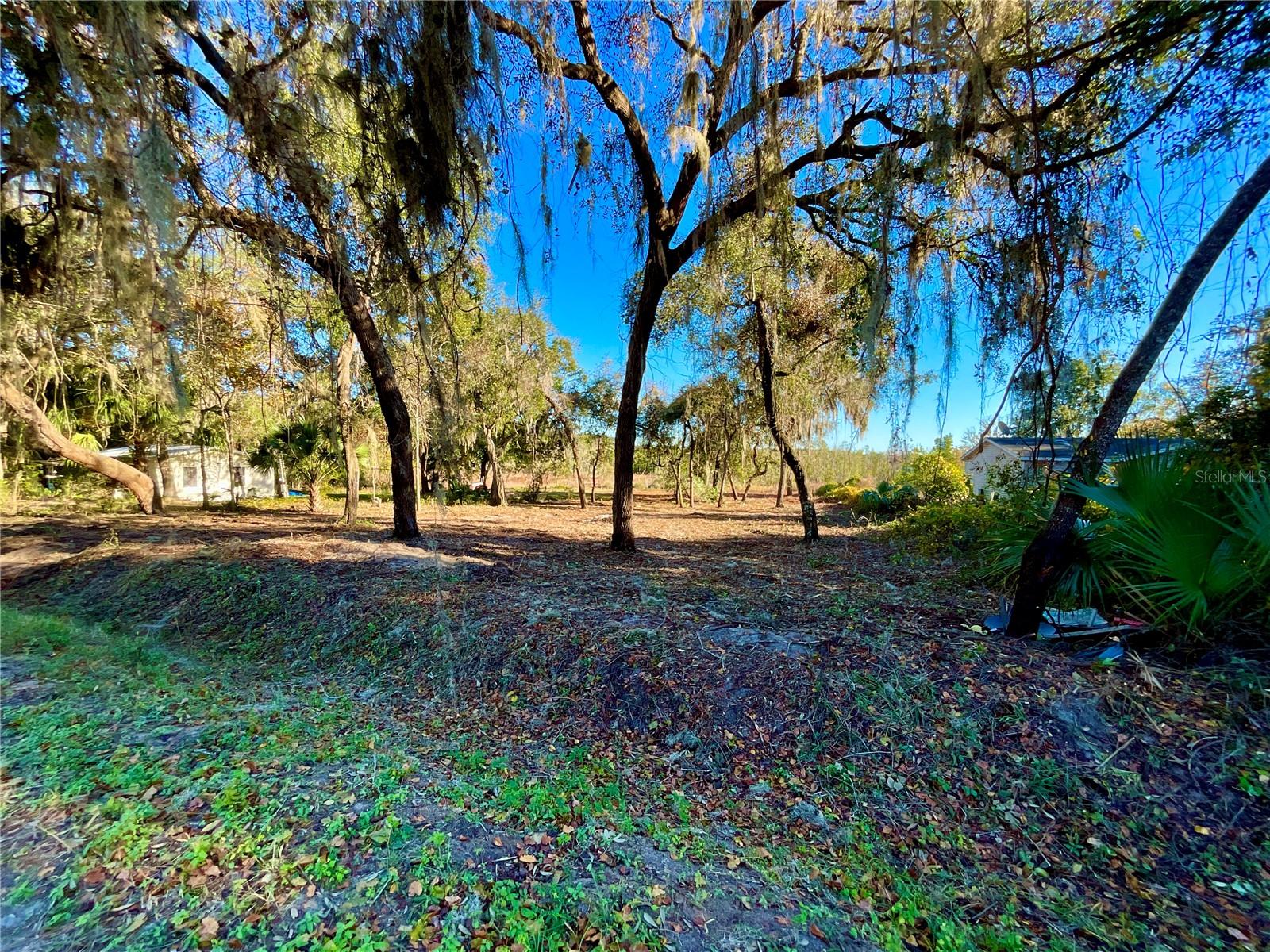 Lot 66 & Lot 67 Ashley ST, Hawthorne, FL — photo 3