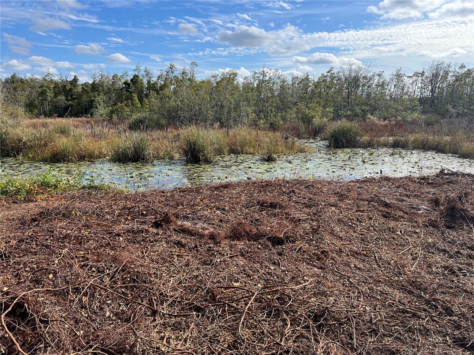 Lot 66 & Lot 67 Ashley ST, Hawthorne, FL — photo 22