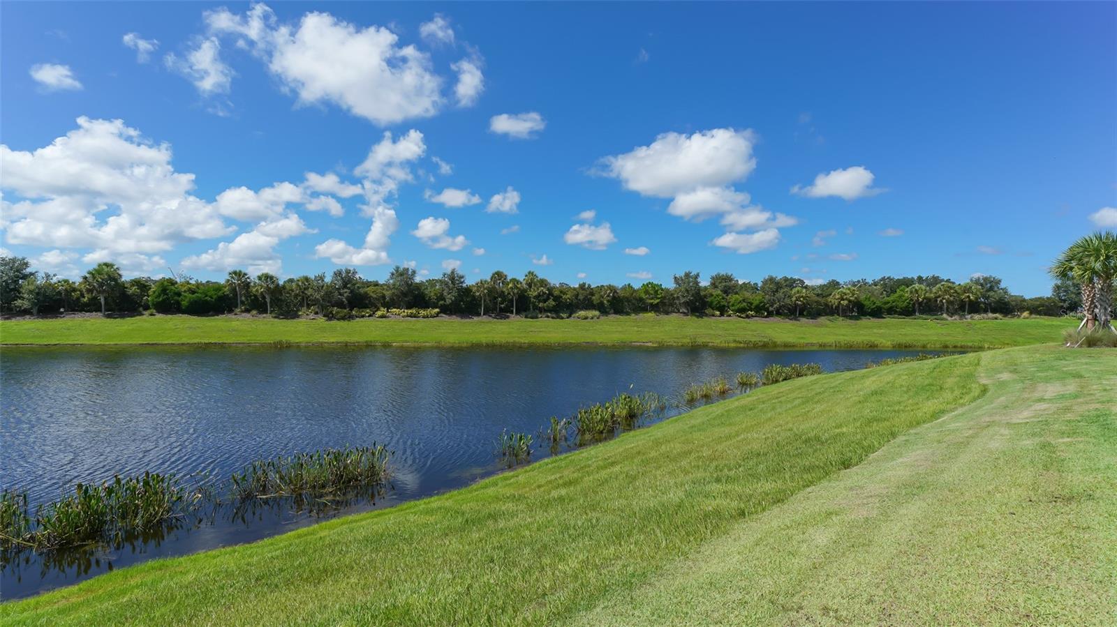 13720 MESSINA LOOP #103, BRADENTON, FL — photo 5