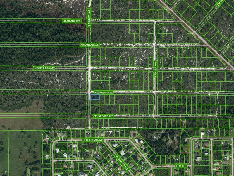 511 KENTUCKY AVE, LAKE PLACID, FL