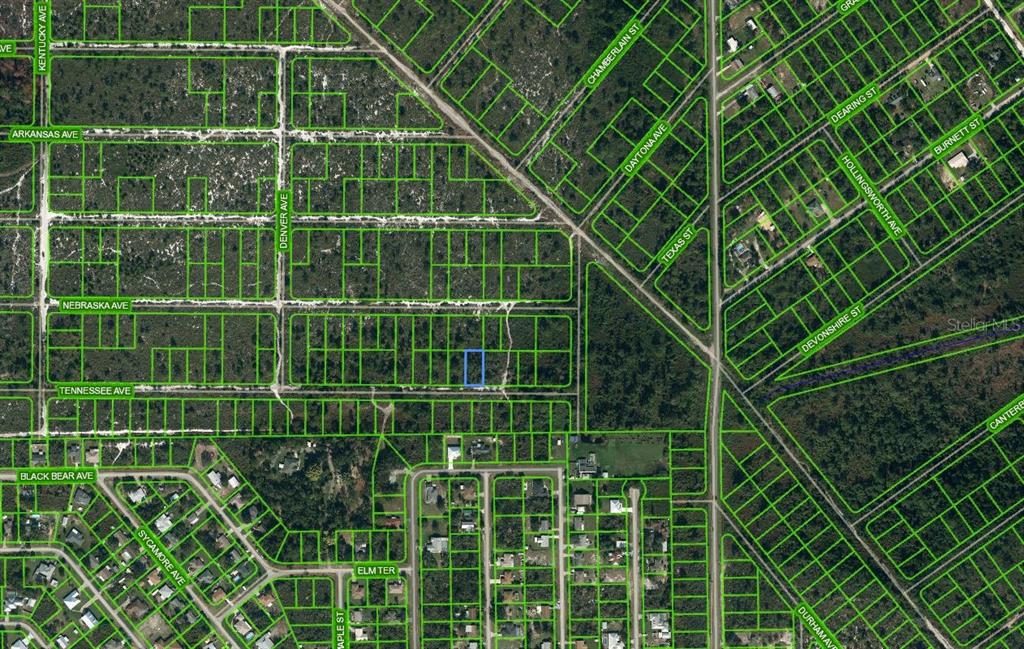 596 TENNESSEE AVE, LAKE PLACID, FL
