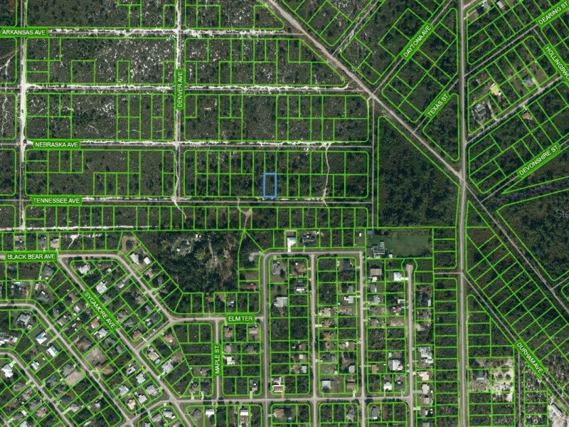 590 TENNESSEE AVE, LAKE PLACID, FL