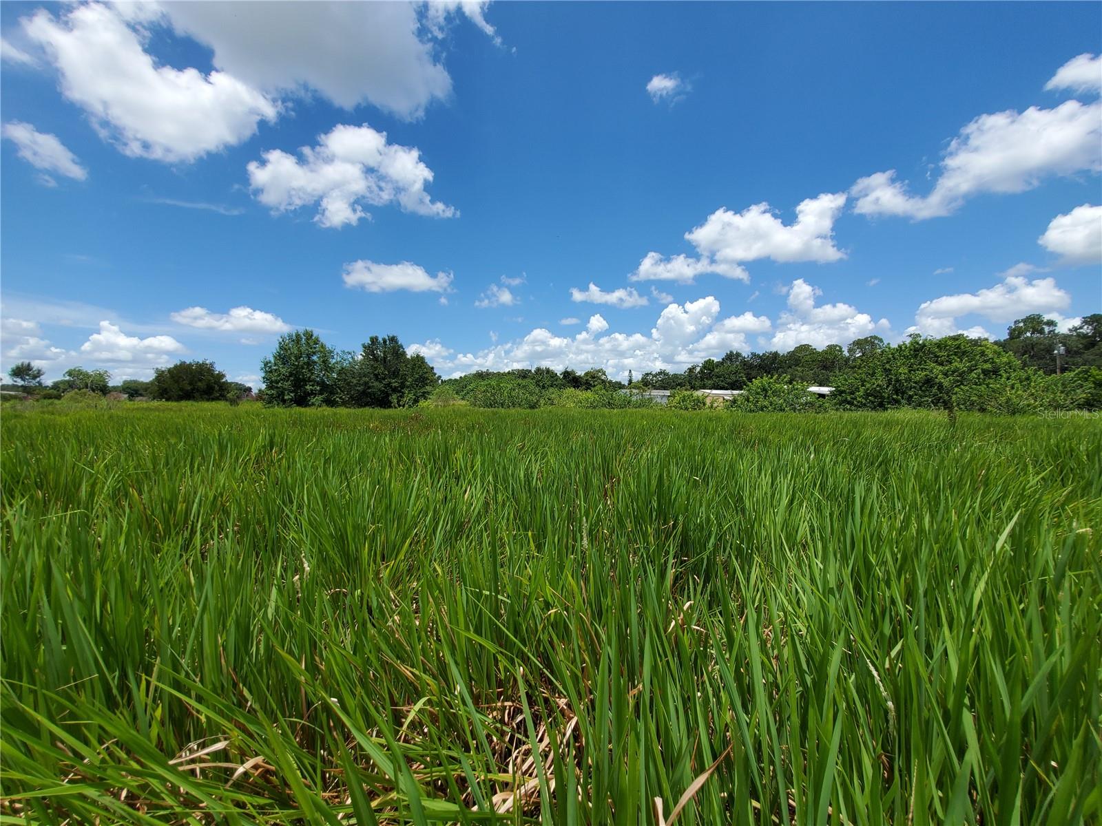 WOODLAND AVE, LAKELAND, FL
