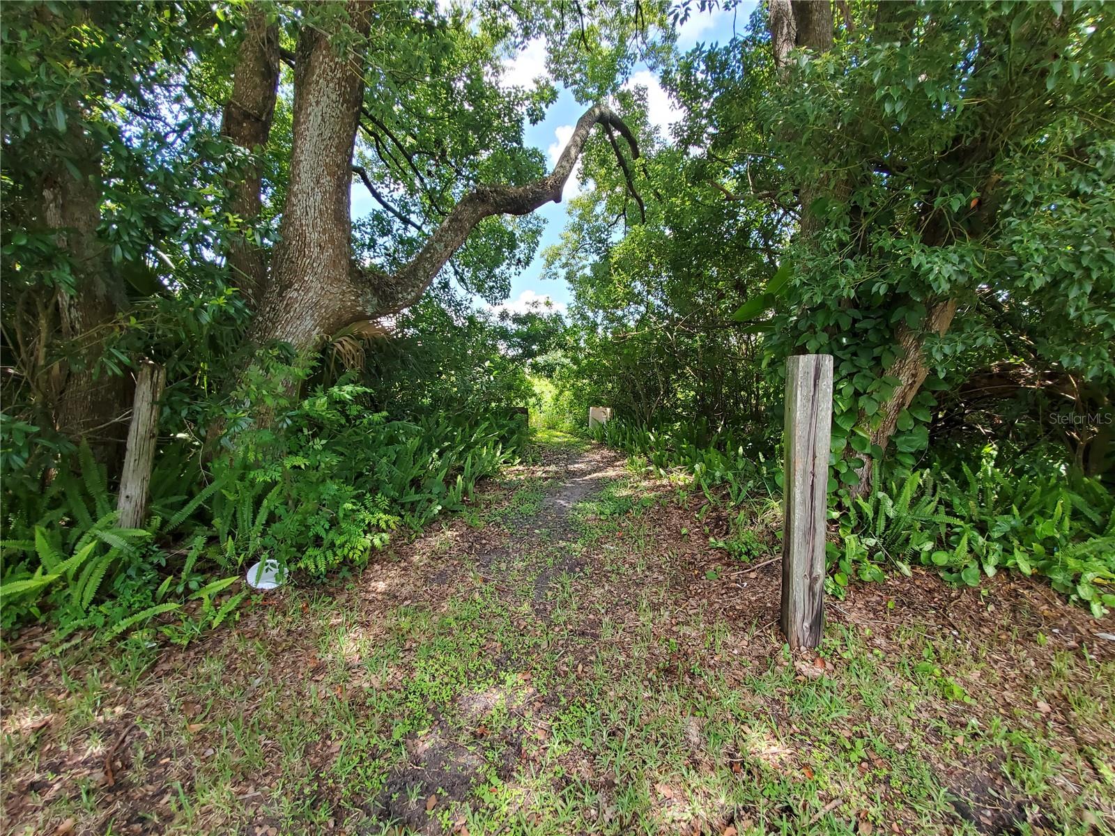 WOODLAND AVE, LAKELAND, FL — photo 3