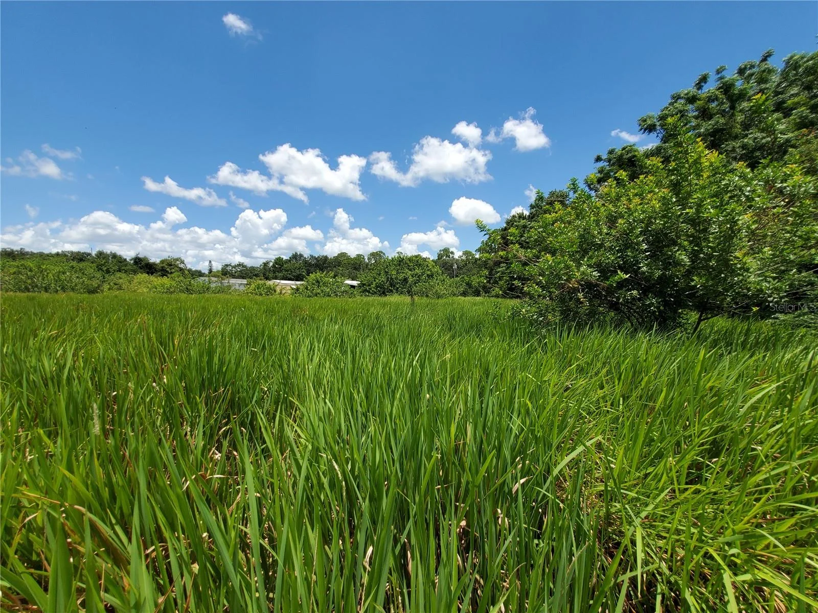 WOODLAND AVE, LAKELAND, FL — photo 14