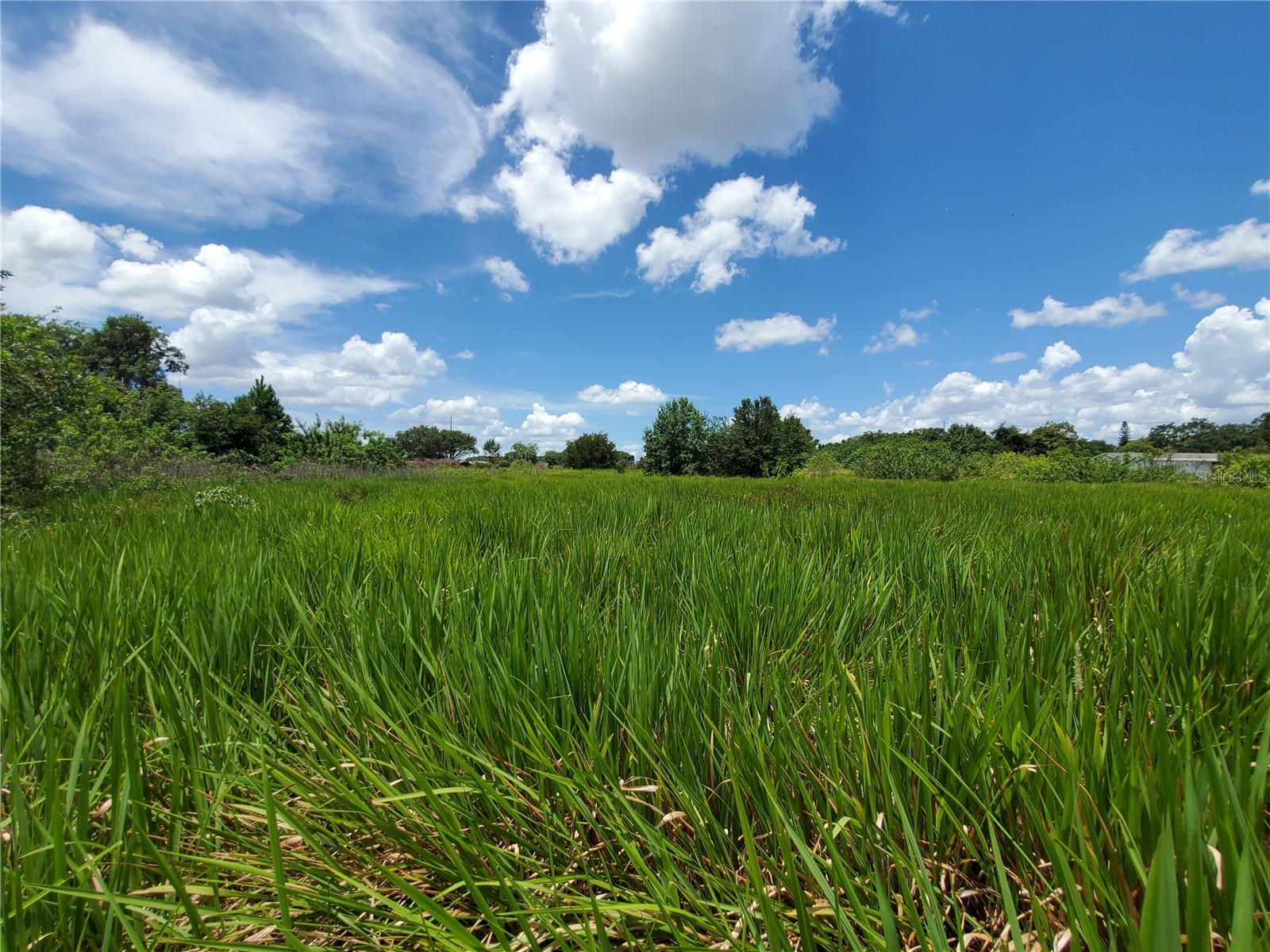WOODLAND AVE, LAKELAND, FL — photo 15