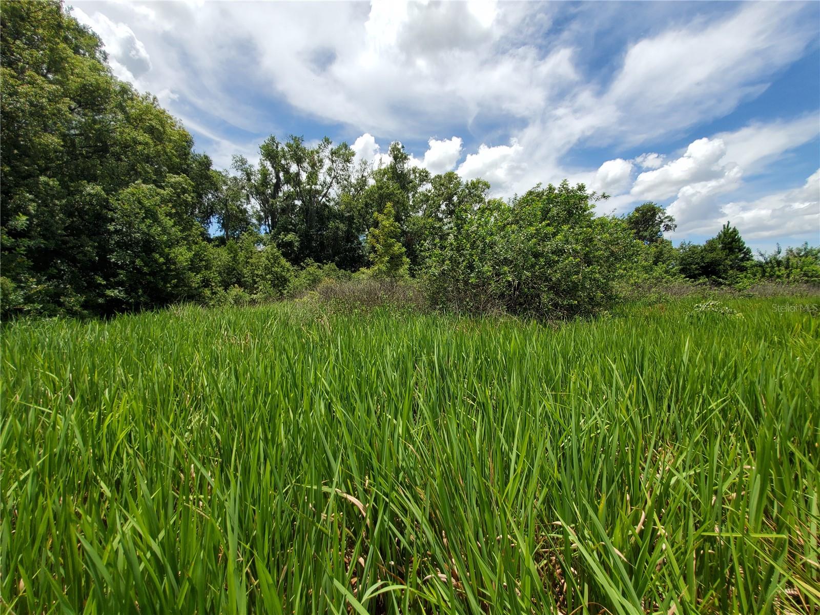 WOODLAND AVE, LAKELAND, FL — photo 19