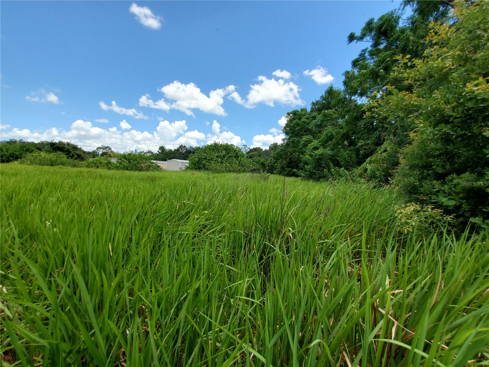 WOODLAND AVE, LAKELAND, FL — photo 25
