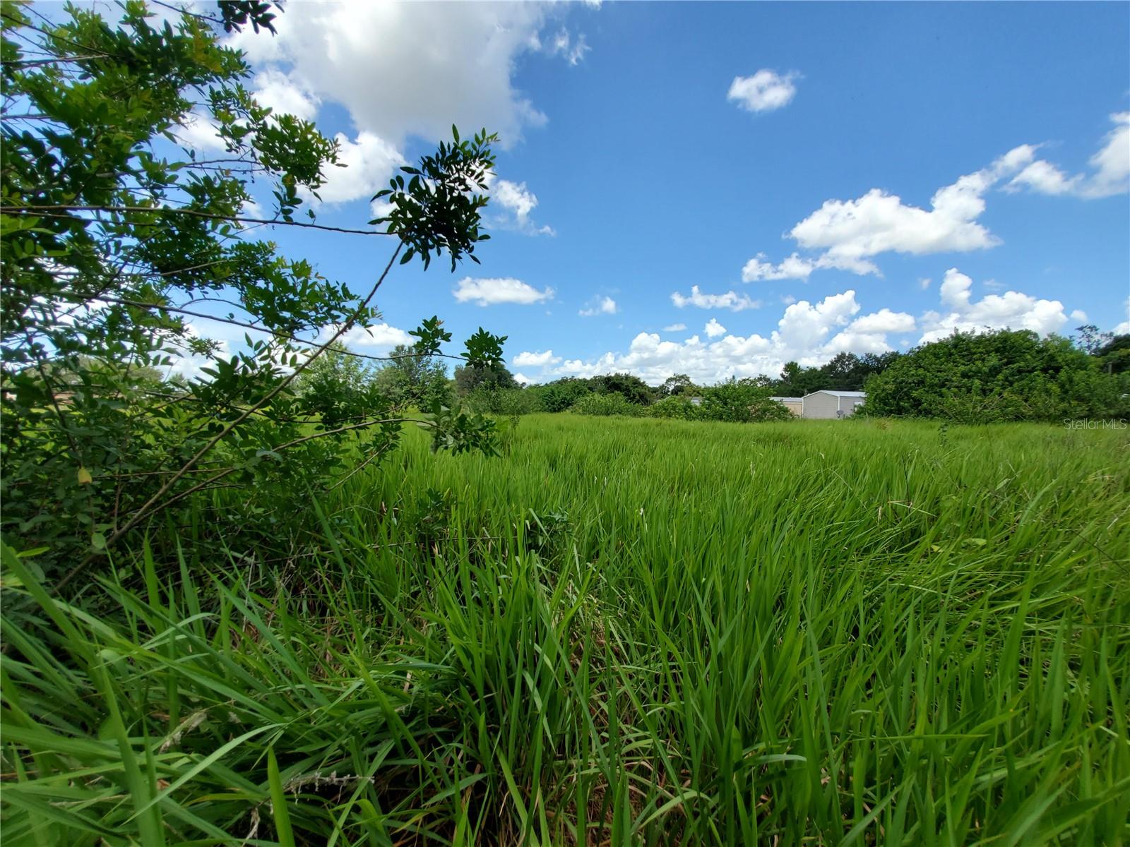 WOODLAND AVE, LAKELAND, FL — photo 28
