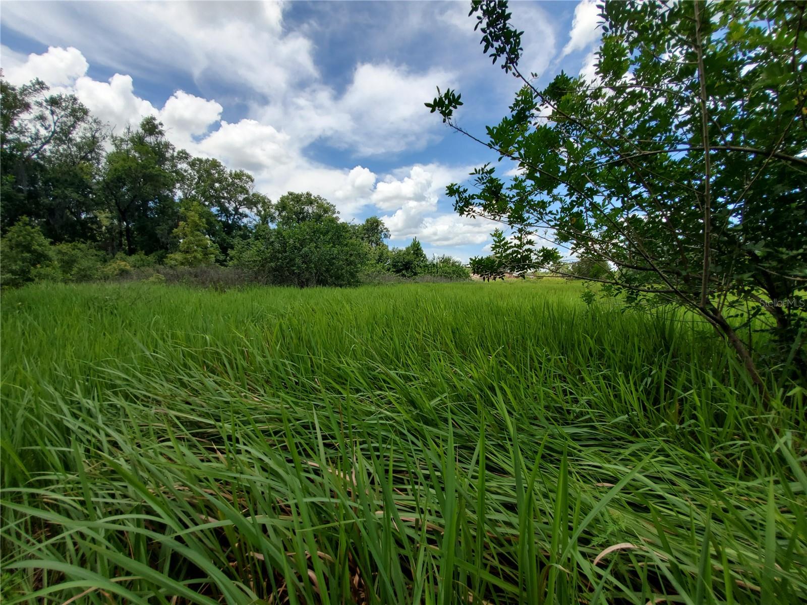 WOODLAND AVE, LAKELAND, FL — photo 31
