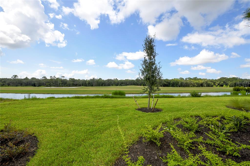 17810 GAWTHROP ST #101, LAKEWOOD RANCH, FL — photo 29